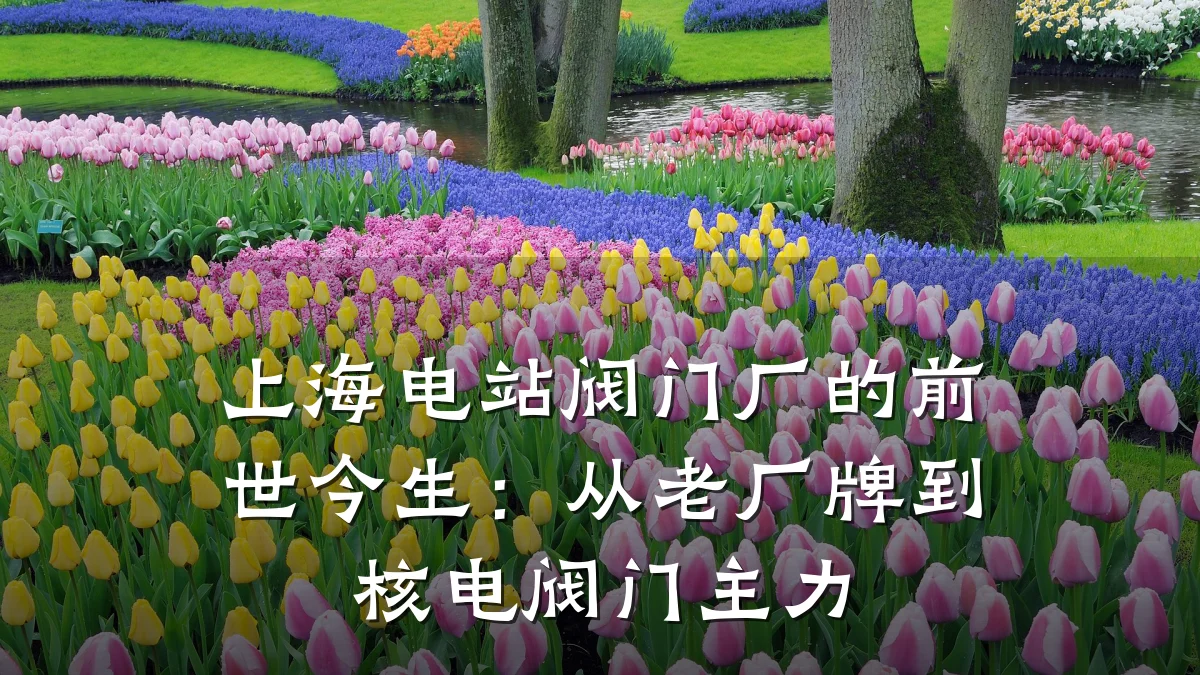 上海电站阀门厂的前世今生:从老厂牌到核电阀门主力