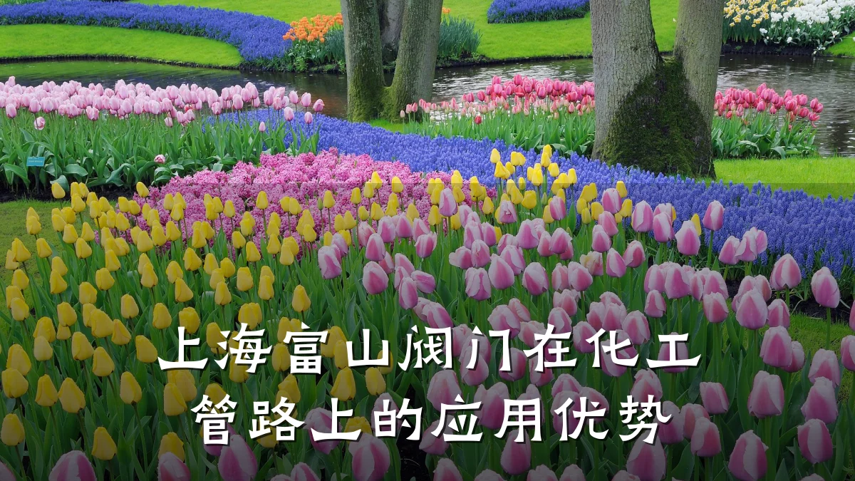 上海富山阀门在化工管路上的应用优势