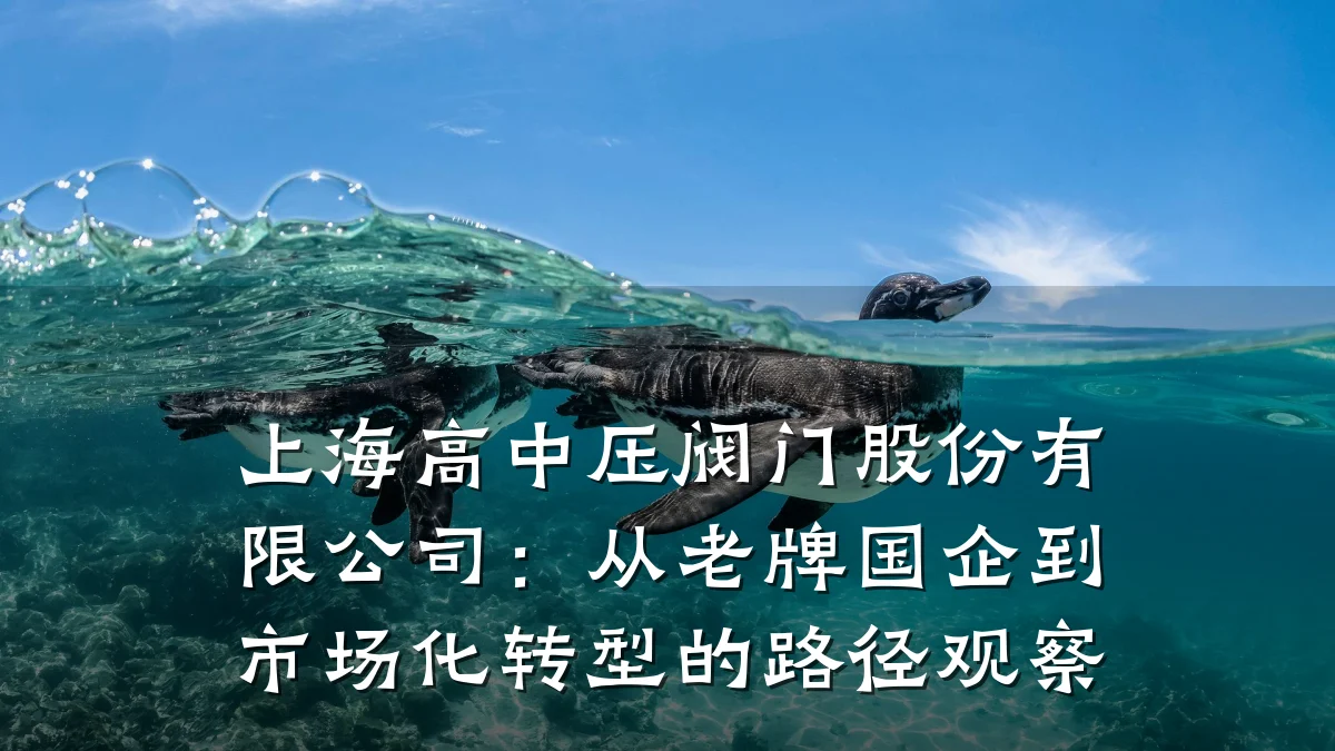 上海高中压阀门股份有限公司:从老牌国企到市场化转型的路径观察