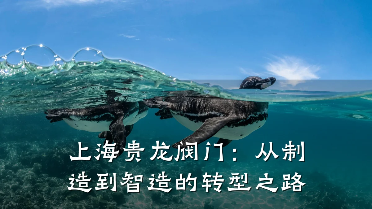 上海贵龙阀门:从制造到智造的转型之路