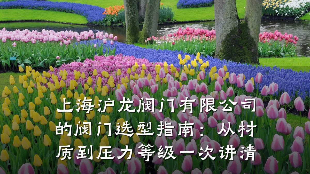 上海沪龙阀门有限公司的阀门选型指南:从材质到压力等级一次讲清