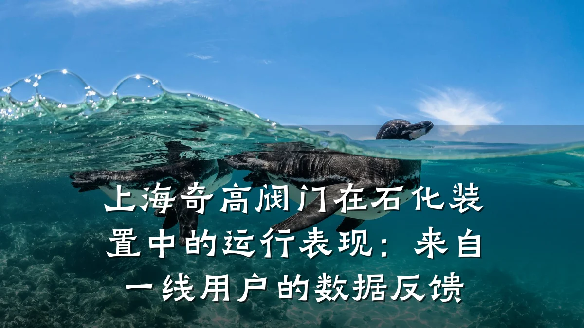 上海奇高阀门在石化装置中的运行表现:来自一线用户的数据反馈
