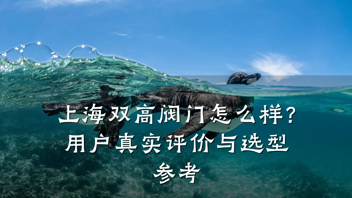 上海双高阀门怎么样?用户真实评价与选型参考