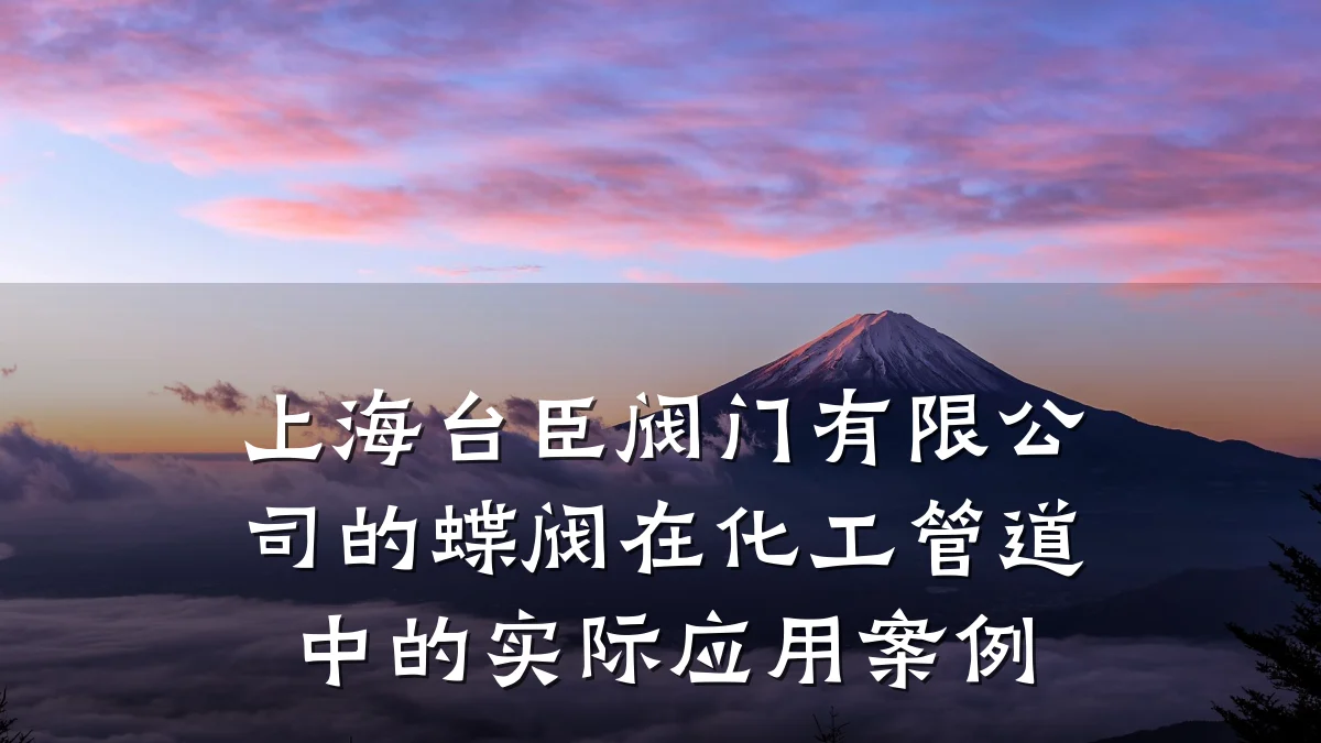 上海台臣阀门有限公司的蝶阀在化工管道中的实际应用案例