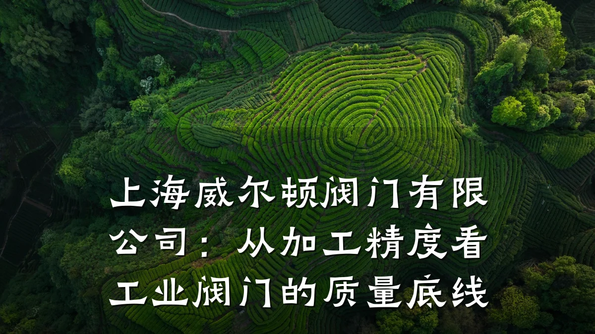 上海威尔顿阀门有限公司:从加工精度看工业阀门的质量底线