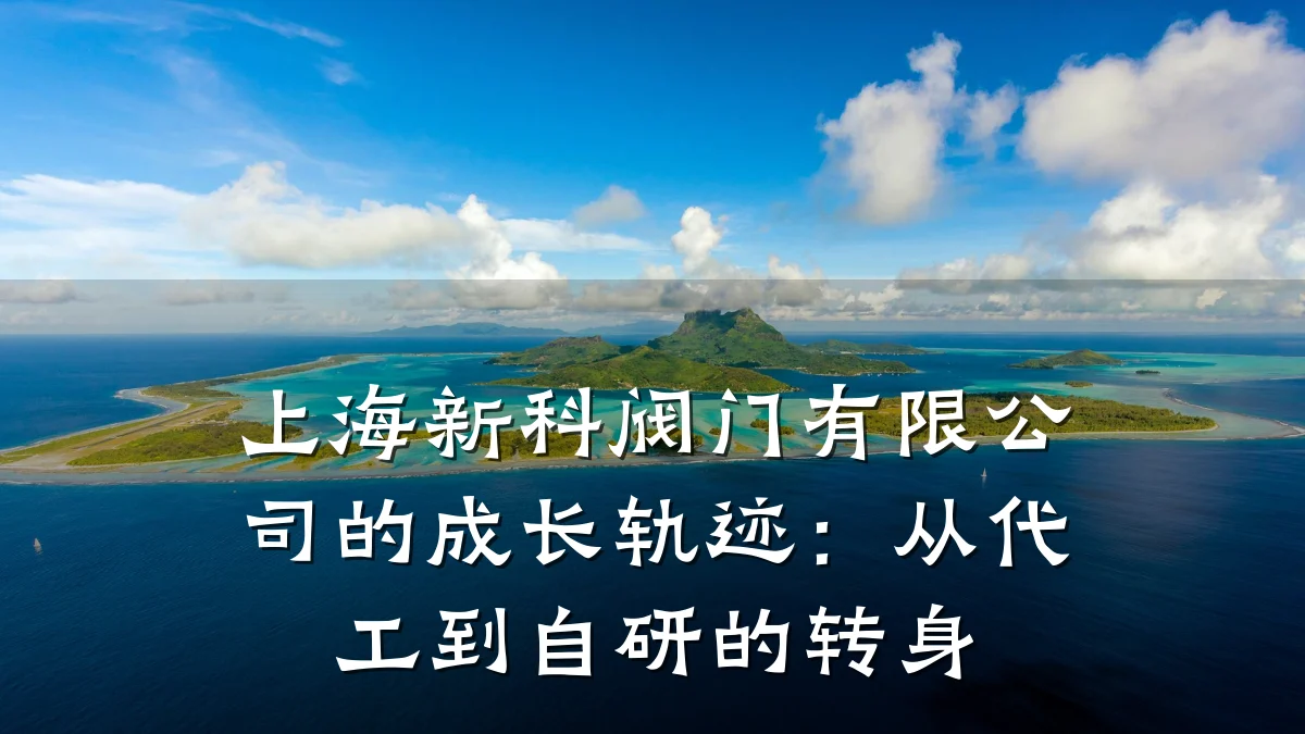 上海新科阀门有限公司的成长轨迹:从代工到自研的转身