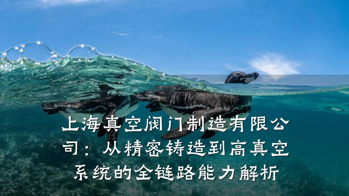 上海真空阀门制造有限公司:从精密铸造到高真空系统的全链路能力解析