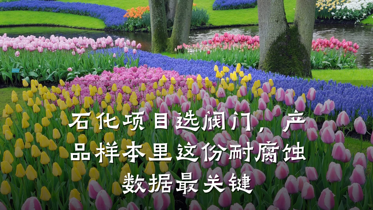 石化项目选阀门,产品样本里这份耐腐蚀数据最关键