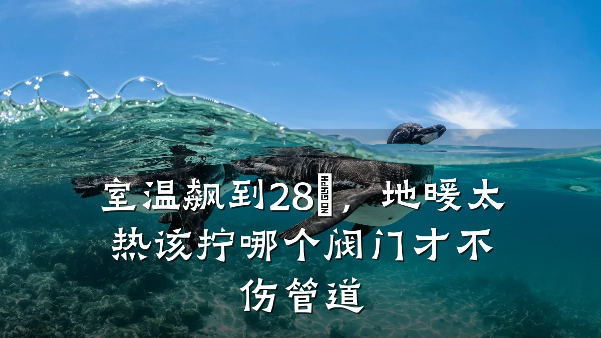 室温飙到28℃,地暖太热该拧哪个阀门才不伤管道