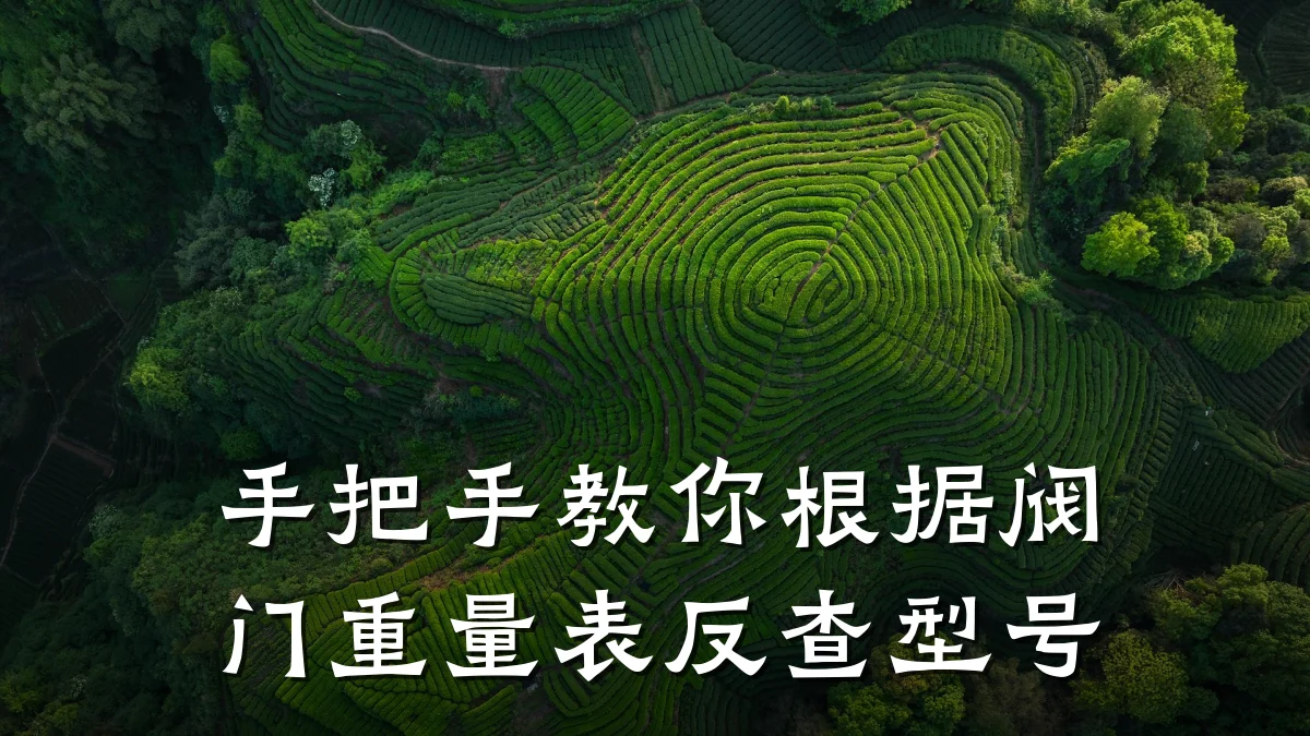 手把手教你根据阀门重量表反查型号
