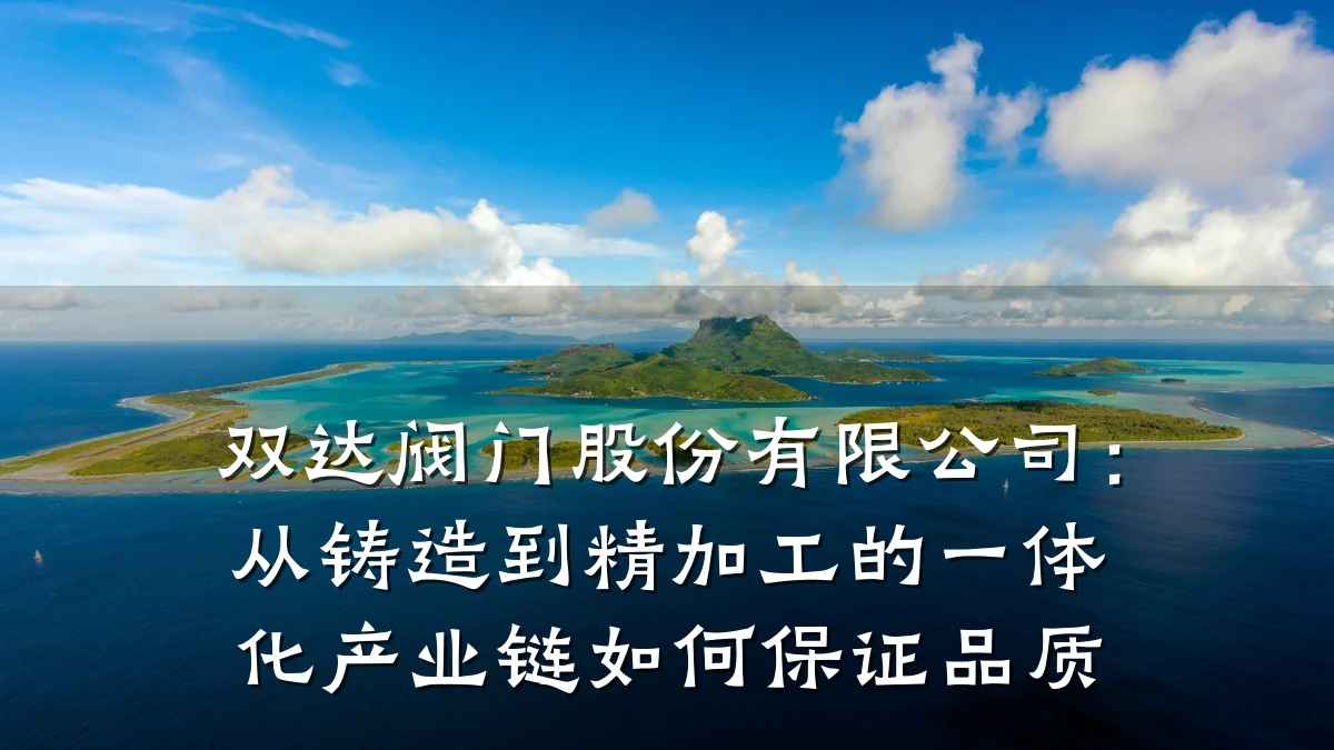 双达阀门股份有限公司:从铸造到精加工的一体化产业链如何保证品质