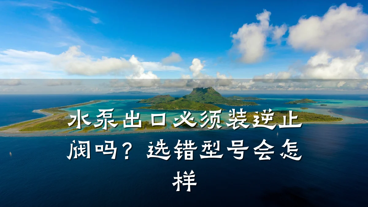水泵出口必须装逆止阀吗?选错型号会怎样