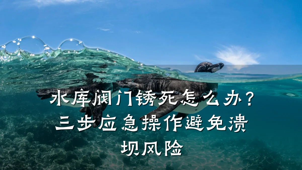 水库阀门锈死怎么办?三步应急操作避免溃坝风险
