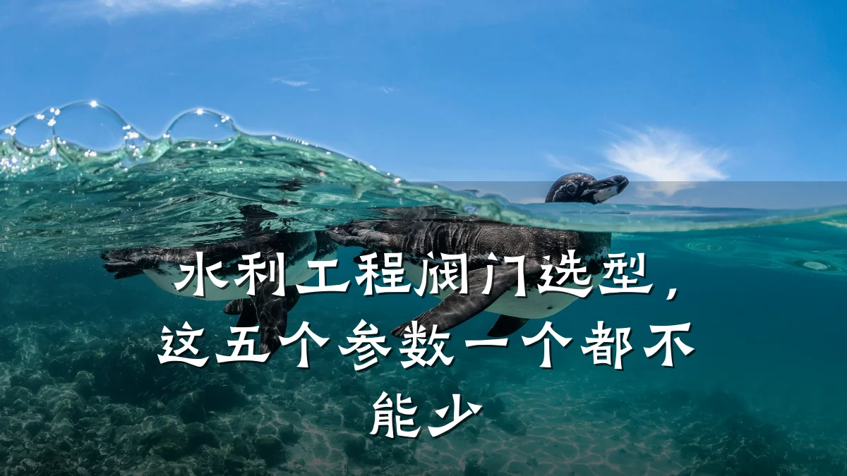 水利工程阀门选型,这五个参数一个都不能少