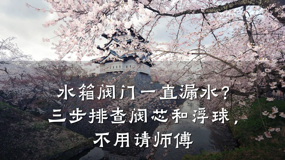 水箱阀门一直漏水？三步排查阀芯和浮球，不用请师傅