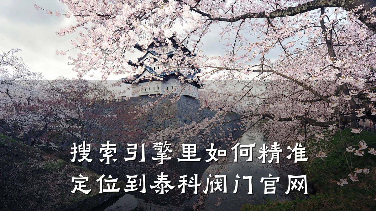 搜索引擎里如何精准定位到泰科阀门官网