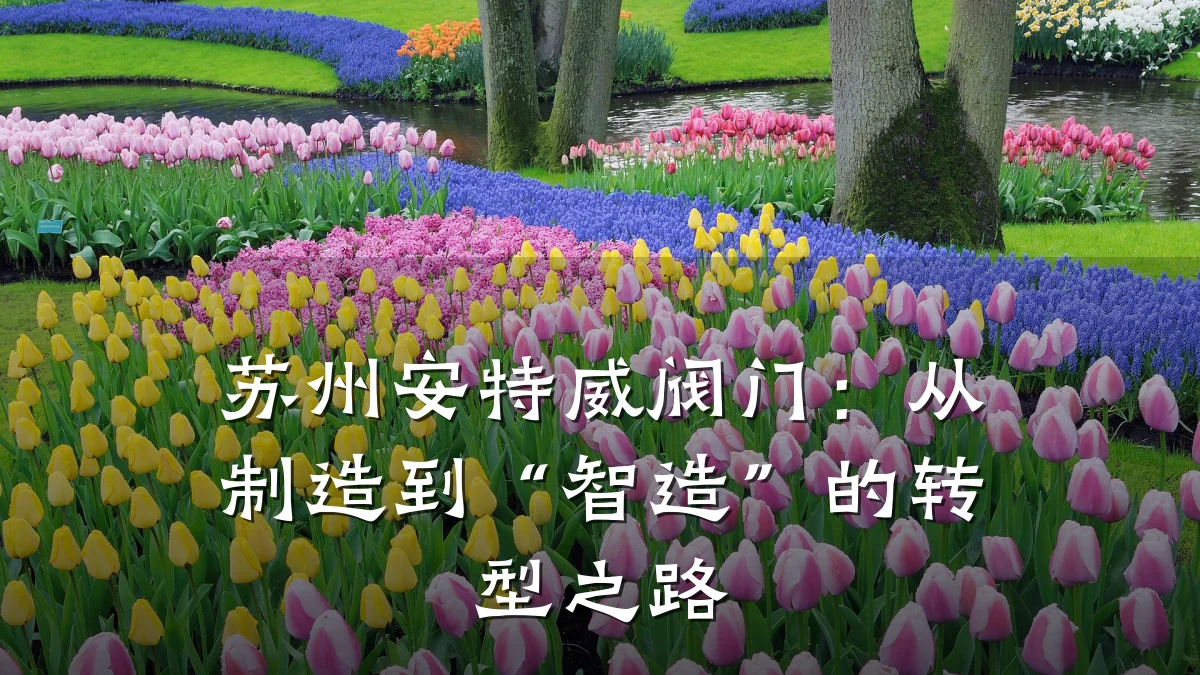 苏州安特威阀门:从制造到“智造”的转型之路