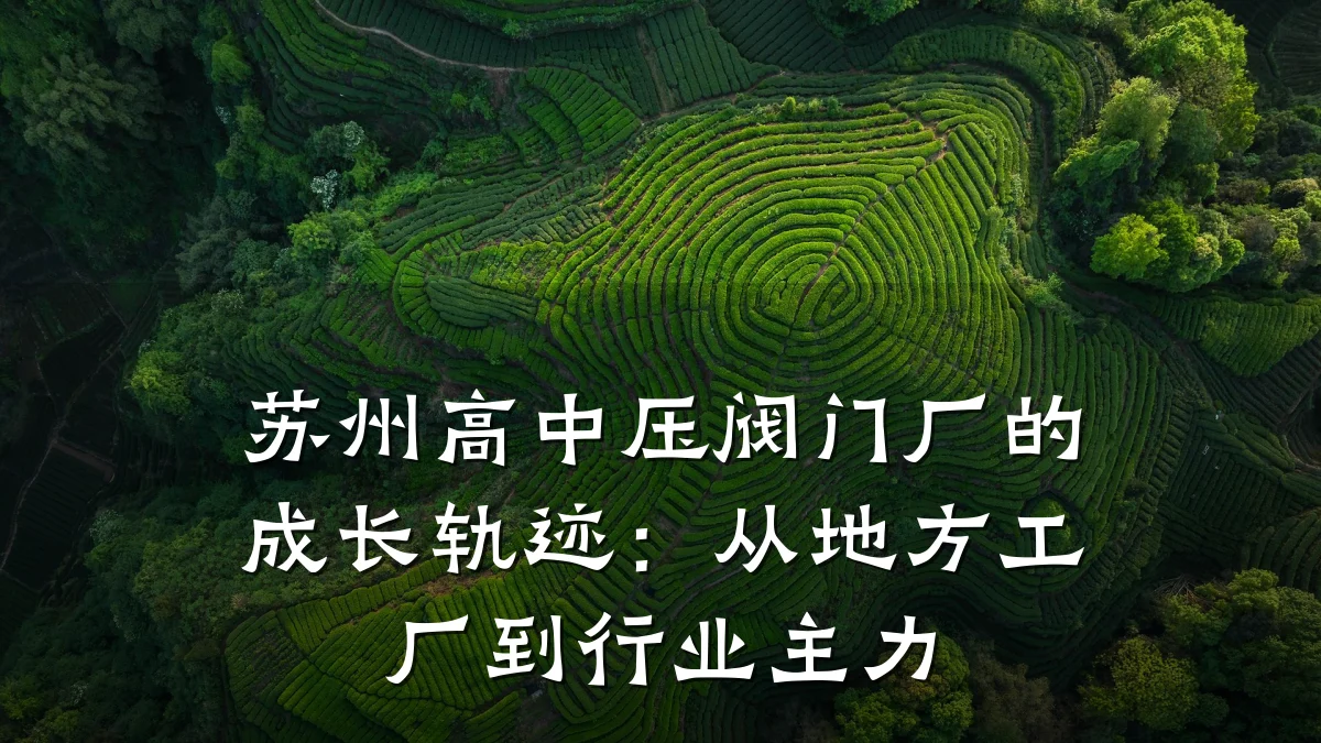 苏州高中压阀门厂的成长轨迹:从地方工厂到行业主力