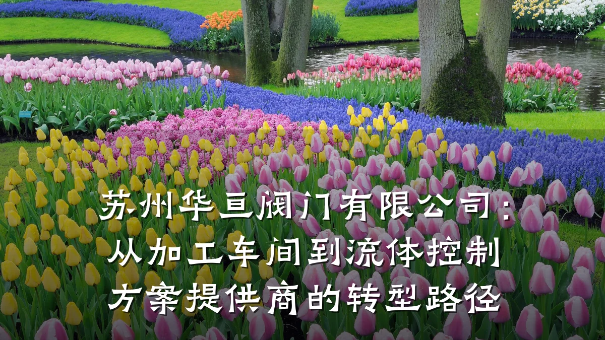 苏州华亘阀门有限公司：从加工车间到流体控制方案提供商的转型路径
