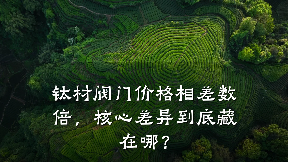 钛材阀门价格相差数倍,核心差异到底藏在哪?