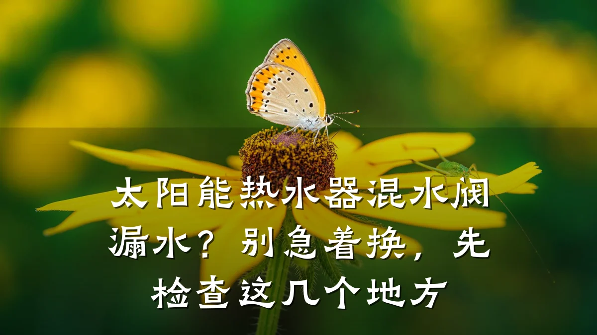太阳能热水器混水阀漏水?别急着换,先检查这几个地方