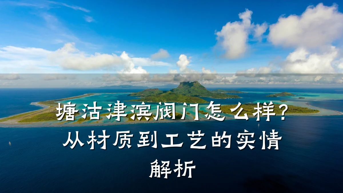 塘沽津滨阀门怎么样?从材质到工艺的实情解析