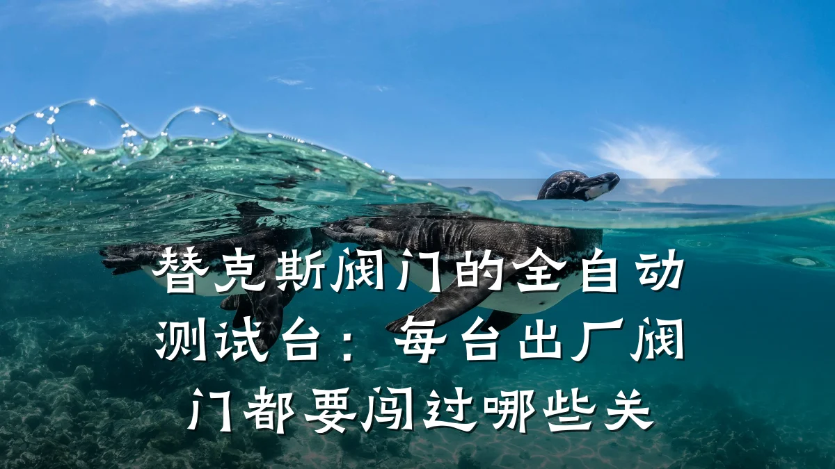 替克斯阀门的全自动测试台:每台出厂阀门都要闯过哪些关