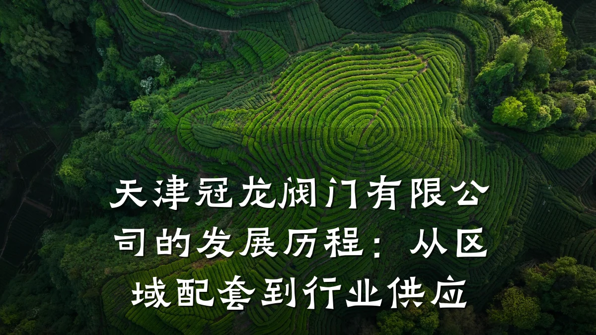 天津冠龙阀门有限公司的发展历程:从区域配套到行业供应