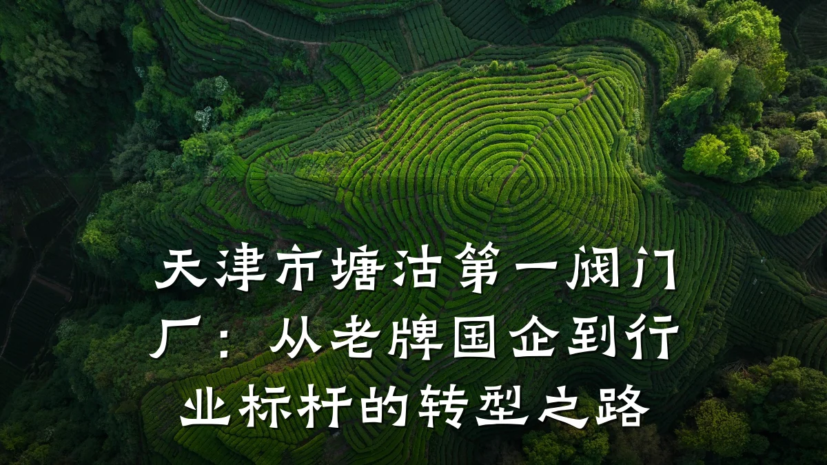 天津市塘沽第一阀门厂:从老牌国企到行业标杆的转型之路