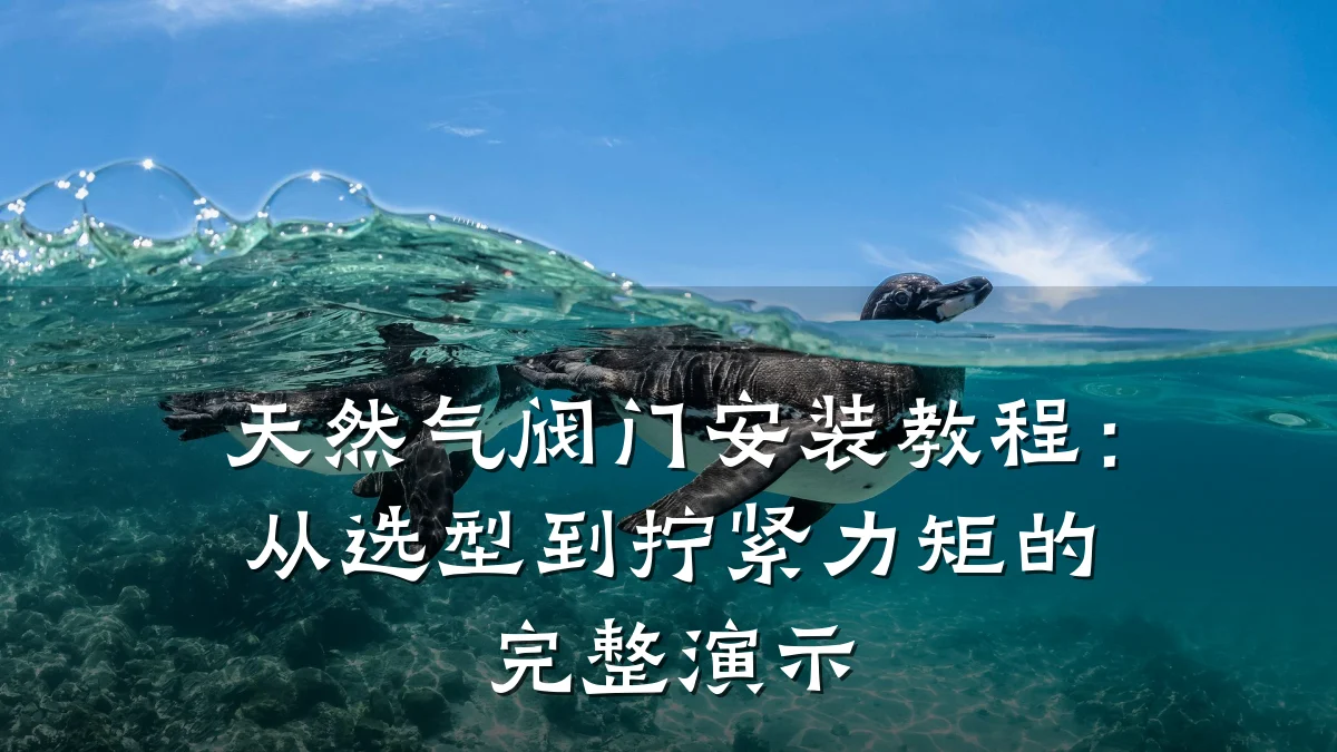 天然气阀门安装教程:从选型到拧紧力矩的完整演示