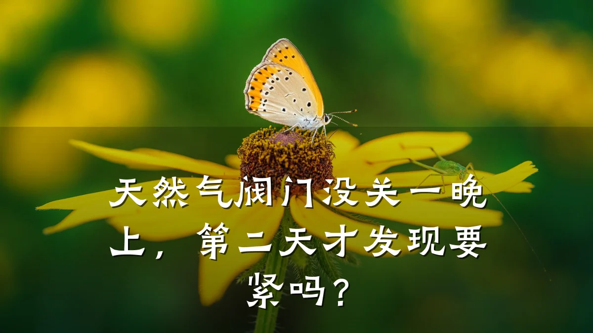 天然气阀门没关一晚上,第二天才发现要紧吗?