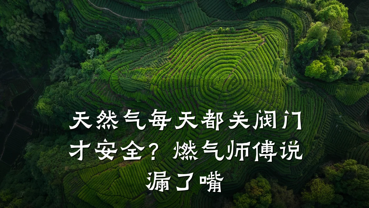 天然气每天都关阀门才安全?燃气师傅说漏了嘴