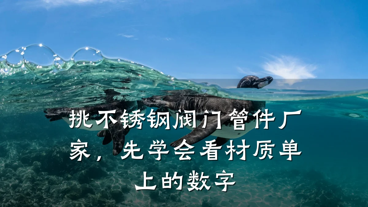 挑不锈钢阀门管件厂家，先学会看材质单上的数字