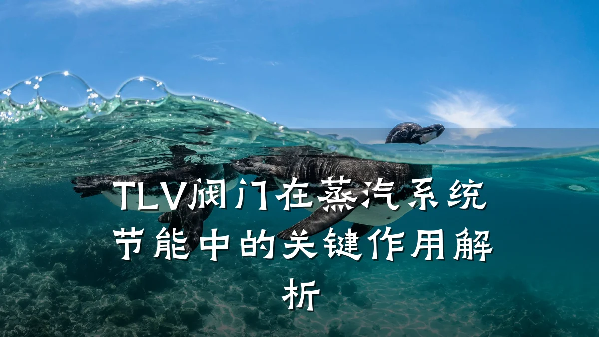TLV阀门在蒸汽系统节能中的关键作用解析