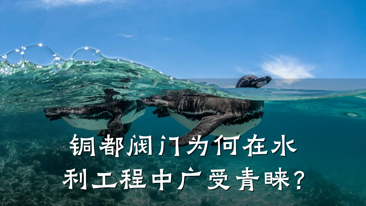 铜都阀门为何在水利工程中广受青睐?