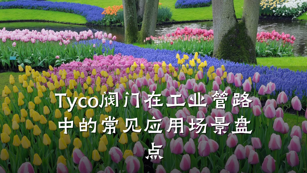 Tyco阀门在工业管路中的常见应用场景盘点