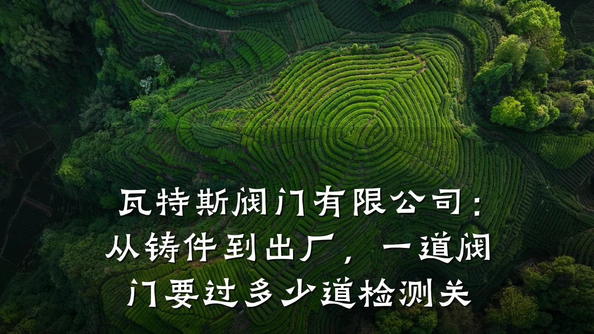 瓦特斯阀门有限公司:从铸件到出厂,一道阀门要过多少道检测关