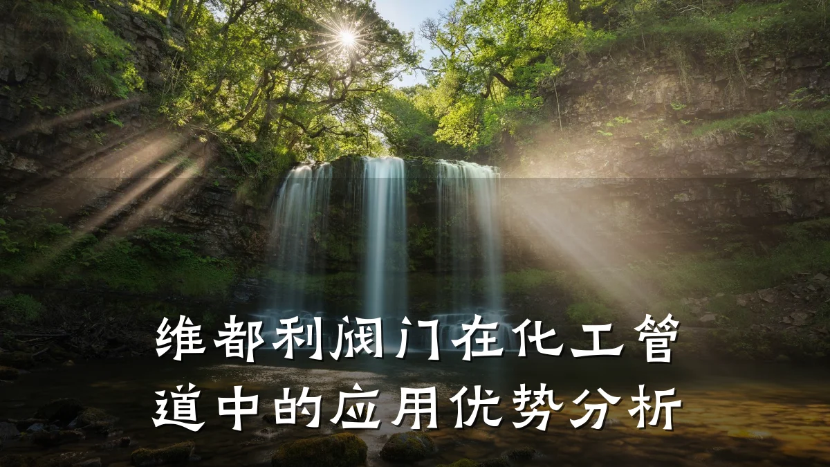 维都利阀门在化工管道中的应用优势分析