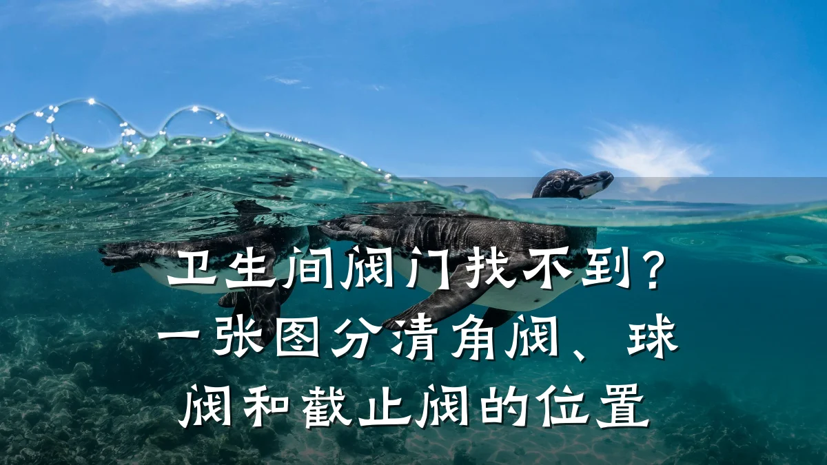 卫生间阀门找不到?一张图分清角阀、球阀和截止阀的位置