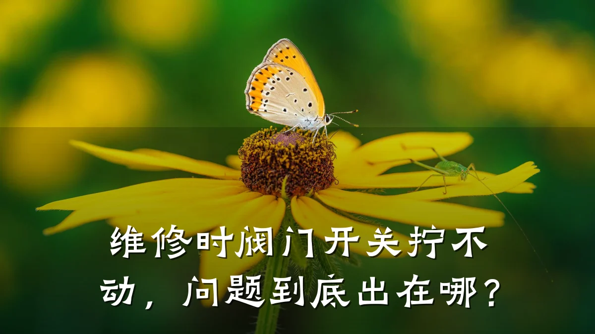 维修时阀门开关拧不动,问题到底出在哪?
