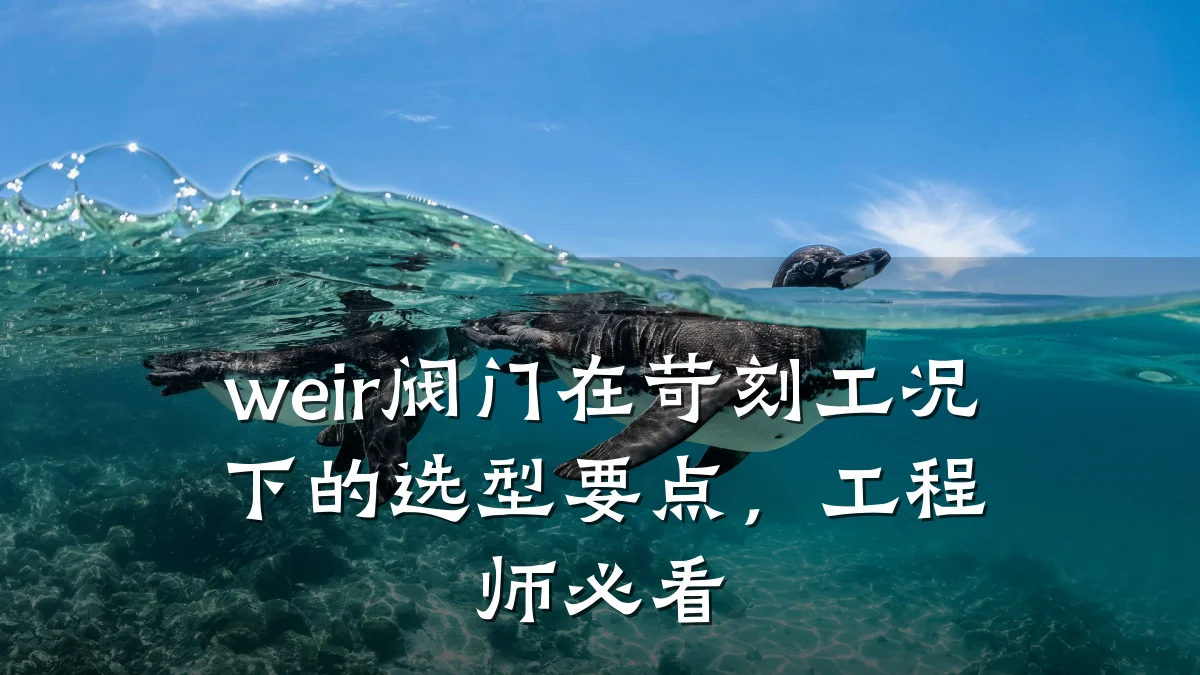 weir阀门在苛刻工况下的选型要点,工程师必看