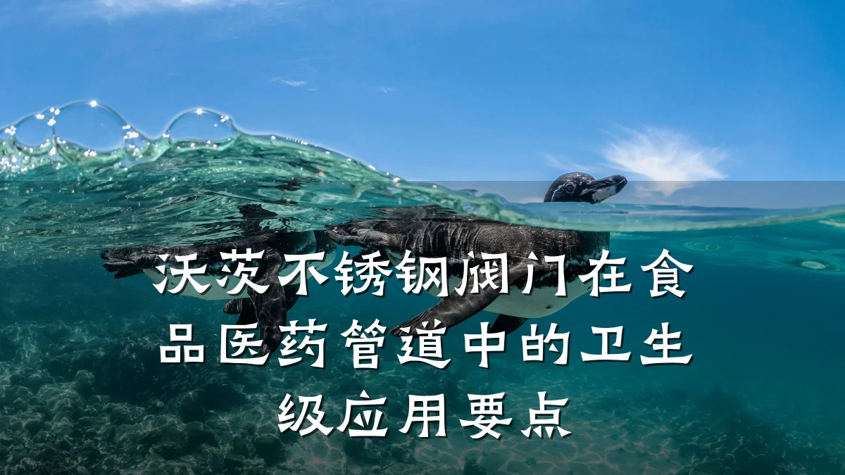 沃茨不锈钢阀门在食品医药管道中的卫生级应用要点