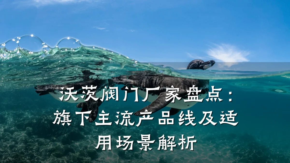 沃茨阀门厂家盘点:旗下主流产品线及适用场景解析