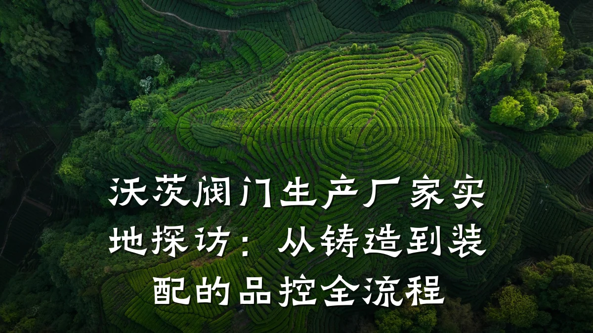 沃茨阀门生产厂家实地探访:从铸造到装配的品控全流程