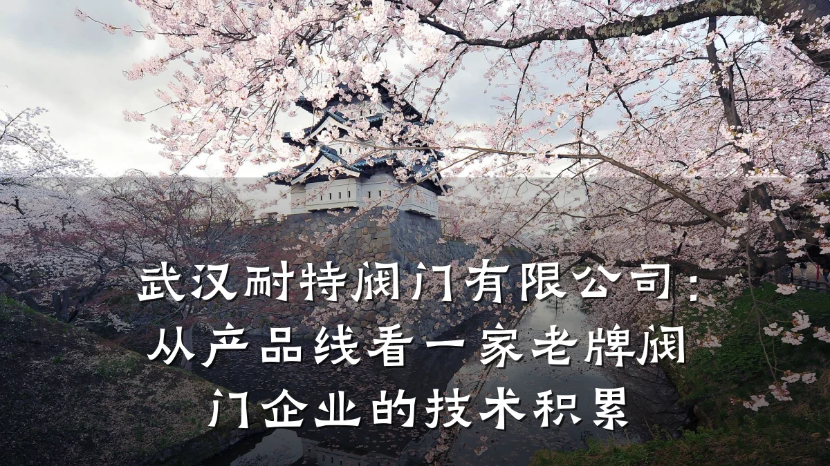 武汉耐特阀门有限公司:从产品线看一家老牌阀门企业的技术积累