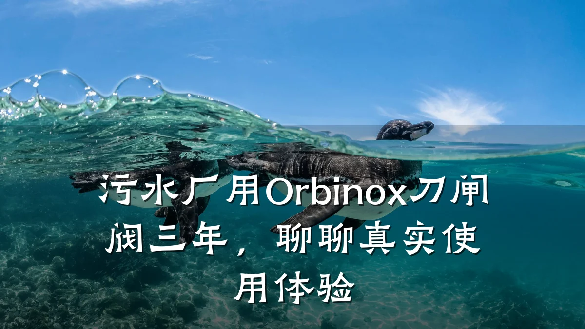 污水厂用Orbinox刀闸阀三年,聊聊真实使用体验