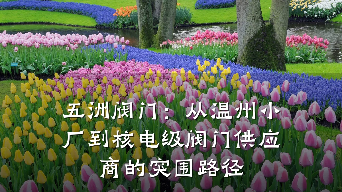 五洲阀门:从温州小厂到核电级阀门供应商的突围路径