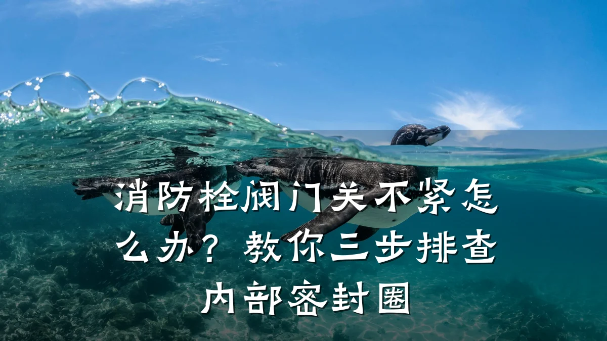 消防栓阀门关不紧怎么办?教你三步排查内部密封圈