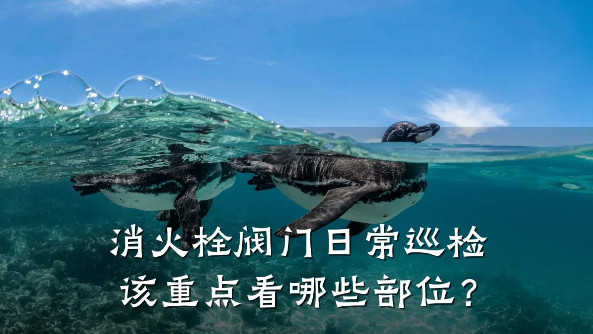 消火栓阀门日常巡检该重点看哪些部位?