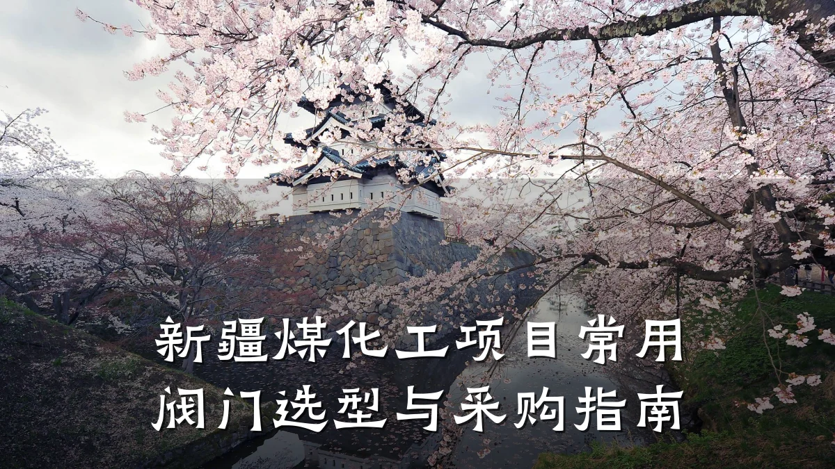 新疆煤化工项目常用阀门选型与采购指南